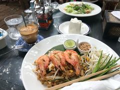 -Fern Forest Cafe