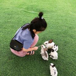 -萌宠亲子动物乐园(槐房万达店)