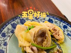 -九斤黄三黄鸡专卖店