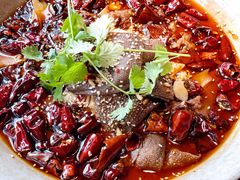 招牌毛血旺-映水芙蓉(上海万象城店)