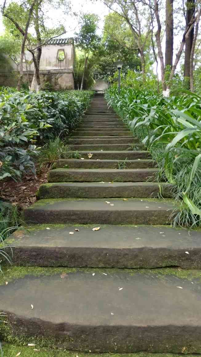 北碚公园-"清凉亭,位于重庆市北碚公园内,始建于19."-大众点评移动版