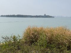 -金鸡湖桃花岛