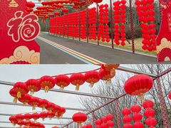 -同里国家湿地公园