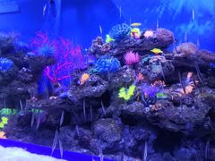 -成都浩海立方海洋公园