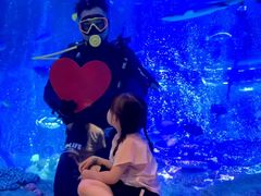 -沈阳海洋探索中心