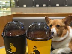 -喜茶(珠海华发商都店)