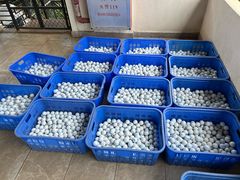 -麓湖高尔夫球俱乐部