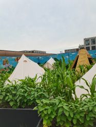 -小蜜蜂农场(凯德七宝购物广场店)