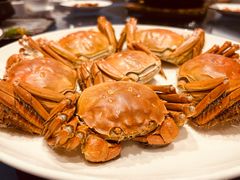 大闸蟹-粤·啫啫