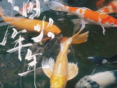 -文儒九号·闽菜馆(三坊七巷店)