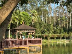 -揭东万竹园旅游景区