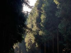 -山王坪喀斯特国家生态公园