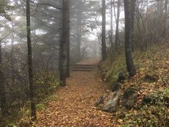 -秦岭天竺山景区