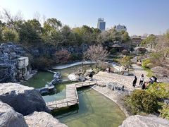 -上海吴淞炮台湾国家湿地公园