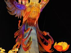 -武汉园博园(武汉自然博物馆)