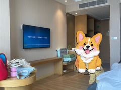 -维也纳国际酒店·江苏苏州火车站北广场店