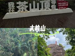 -东莞市大岭山森林公园