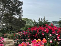 -国家植物园南园