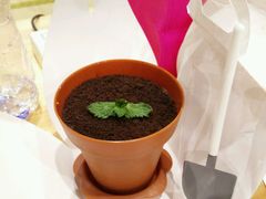 -Sweety Fairy小蜜蜂蛋糕&下午茶(大柏树店)