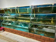 -正亮农家院·海鲜本地菜