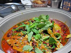 -黔渔翁豆花渎鱼(喷水池店)