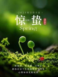 -雅曼妮spa美容养生