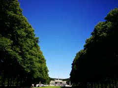 -维格兰雕塑公园