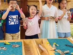 -杨梅红艺术教育(深圳南山书城教学中心)