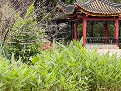 -顺峰山公园