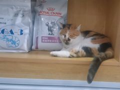 -佑安动物医院·全科·内窥镜中心(幸福巷店)