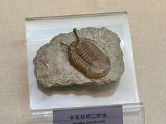 -国家自然博物馆