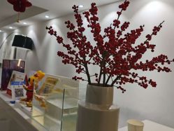 -春田皮肤管理中心品牌旗舰店