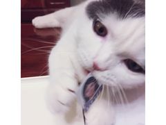 -壹人壹像工作室(购物公园店)