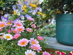 -山水茶艺馆·点心粤菜·30年老字号