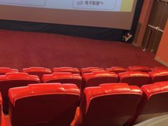 -卢米埃影城(长楹天街IMAX激光店)