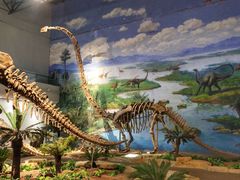 -自贡恐龙博物馆