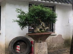-贵州省植物园