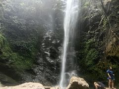-莫里热带雨林景区