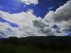 -老温州馄饨担(东游大厦店)