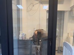 -萌宠之家·腊肠犬·马尔泰·小体犬舍