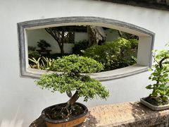 -上海醉白池公园