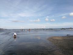 -台山黑沙湾海浴场