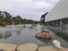 -罗红摄影艺术馆