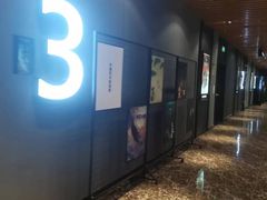 -SFC上影百联影城(川沙IMAX店)