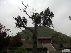 -华山风景区-华阳宫