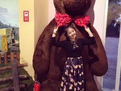 -济州岛泰迪熊博物馆