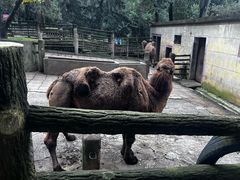 -昆明动物园