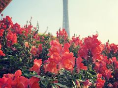 -海心沙亚运公园
