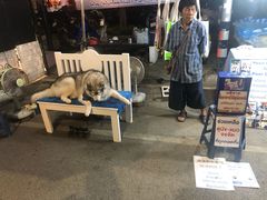 -周日夜市