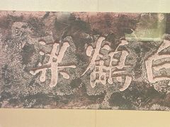 -白鹤梁水下博物馆